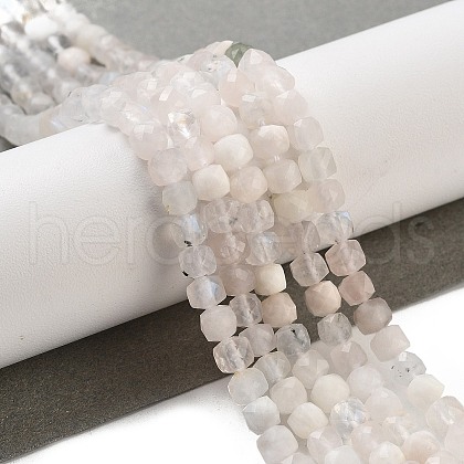 Natural Rainbow Moonstone Beads Strands G-G140-C01-01-1