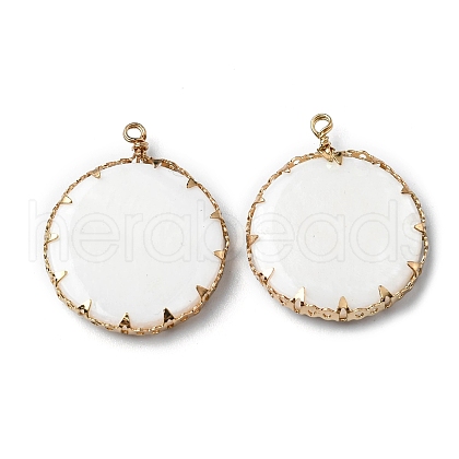 Alloy Freshwater Shell Pendants PALLOY-K006-01G-1