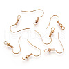 Iron Earring Hooks J07JW-LG-3