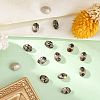Preciosa® MAXIMA Crystal Fancy Stones Y-PRC-FF8-40010-2