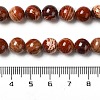 Natural Red Snakeskin Jasper Beads Strands G-H298-A02-03-5