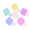 Frosted Transparent Acrylic Beads FACR-N006-03-1