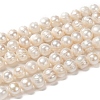 Natural Cultured Freshwater Pearl Beads Strands PEAR-L001-G-14-6