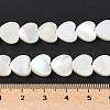 Natural White Shell Beads Strands SSHEL-C013-06-4
