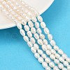 Natural Cultured Freshwater Pearl Beads Strands PEAR-P064-20H-03A-1