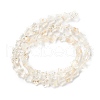 Transparent Glass Beads Strand GLAA-F112-04K-3