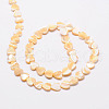 Natural Sea Shell Heart Bead Strands SSHEL-M014-17-2