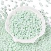 Opaque Baking Paint Glass Seed Beads SEED-T008-02M-2