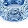 Anodized Aluminum Wire AW-S001-0.8mm-19-2