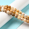 Natural Crazy Lace Agate Beads Strands G-H298-A12-03-2
