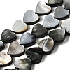 Natural Black Lip Shell Beads Strands BSHE-D300-06A-1