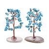 Natural Turquoise Chips & Agate Pedestal Display Decorations DJEW-A001-04A-1
