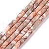 Natural Red Netstone Beads Strands G-F247-51-1