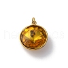 316 Stainless Steel Faceted Glass Pendants STAS-K258-46G-07-1