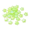 Eco-Friendly Transparent Acrylic Beads PL556-PW42-1