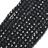 Natural Black Onyx(Dyed & Heated) Beads Strands G-A260-A21-01-2