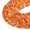 Natural Carnelian Beads Strands G-A260-A20-01-3