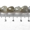 Natural Labradorite Beads Strands G-P528-C05-01-5