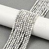 Natural Howlite Beads Strands G-C181-B03-02-1