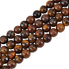 Olycraft 4 Strands Natural Grade AB Tiger Eye Round Beads Strands G-OC0005-01-1
