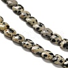 Natural Dalmatian Jasper Beads Strands G-P575-C03-6mm-4