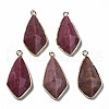 Natural Rhodonite Charms G-Q998-029A-1