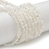Crackle Glass Beads Strands X1-GLAA-U001-4mm-07-1