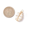 Natural Cowrie Shell Copper Wire Wrapped Pendants PALLOY-JF03368-3