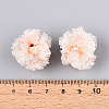 Resin Beads RESI-T059-01A-03-3