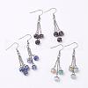 Natural Gemstone Dangle Earrings EJEW-JE02242-1