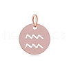 304 Stainless Steel Charms STAS-Q201-T445-11R-1