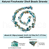 Beebeecraft 4 Strands Dyed Natural Freshwater Shell Beads Strands SHEL-BBC0001-14B-2