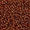 TOHO Round Seed Beads SEED-JPTR08-2208-2