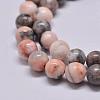 Natural Pink Zebra Jasper Beads Strands X-G-P231-01-10mm-1