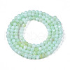 Natural Freshwater Shell Beads Strands X-BSHE-T009A-01D-2