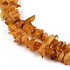 Natural Amber Beads Beads Strands G-Q060-C05-4