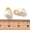 Shell Round Charms FIND-C046-01G-3