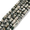 Natural Tree Agate Beads Strands G-NH0062-A02-01-2