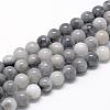 Natural Hawk's Eye Beads Strands G-R446-8mm-17-1