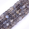 Natural Agate Beads Strands G-T121-04E-1
