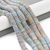Natural Rainbow Alashan Agate Beads Strands G-NH0022-F01-01-2