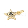 Brass Micro Pave Cubic Zirconia Charms KK-U056-41G-2