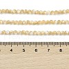 Natural Trochus Shell Beads Strands BSHE-G036-08B-02-4