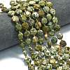 Natural Rhyolite Jasper Beads Strands G-C116-A99-01-1