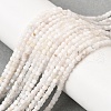 Natural Rainbow Moonstone Beads Strands G-G140-C01-02-5