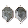 Natural Labradorite Links Connectors G-S359-280B-2