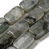 Natural Labradorite Beads Strands G-M420-M02-02-1
