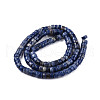 Natural Sodalite Beads Strands G-N326-148C-2