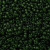 MIYUKI Round Rocailles Beads X-SEED-G008-RR0158F-3