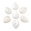 Natural Freshwater Shell Cabochons SHEL-D082-01A-1